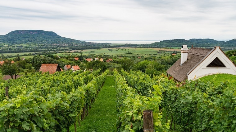 Fedezze fel a Balaton borvidékét!