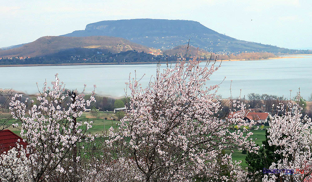 Balaton tavaszi csodái: Hogyan változik a tó és környéke a meleg hónapok előtt?