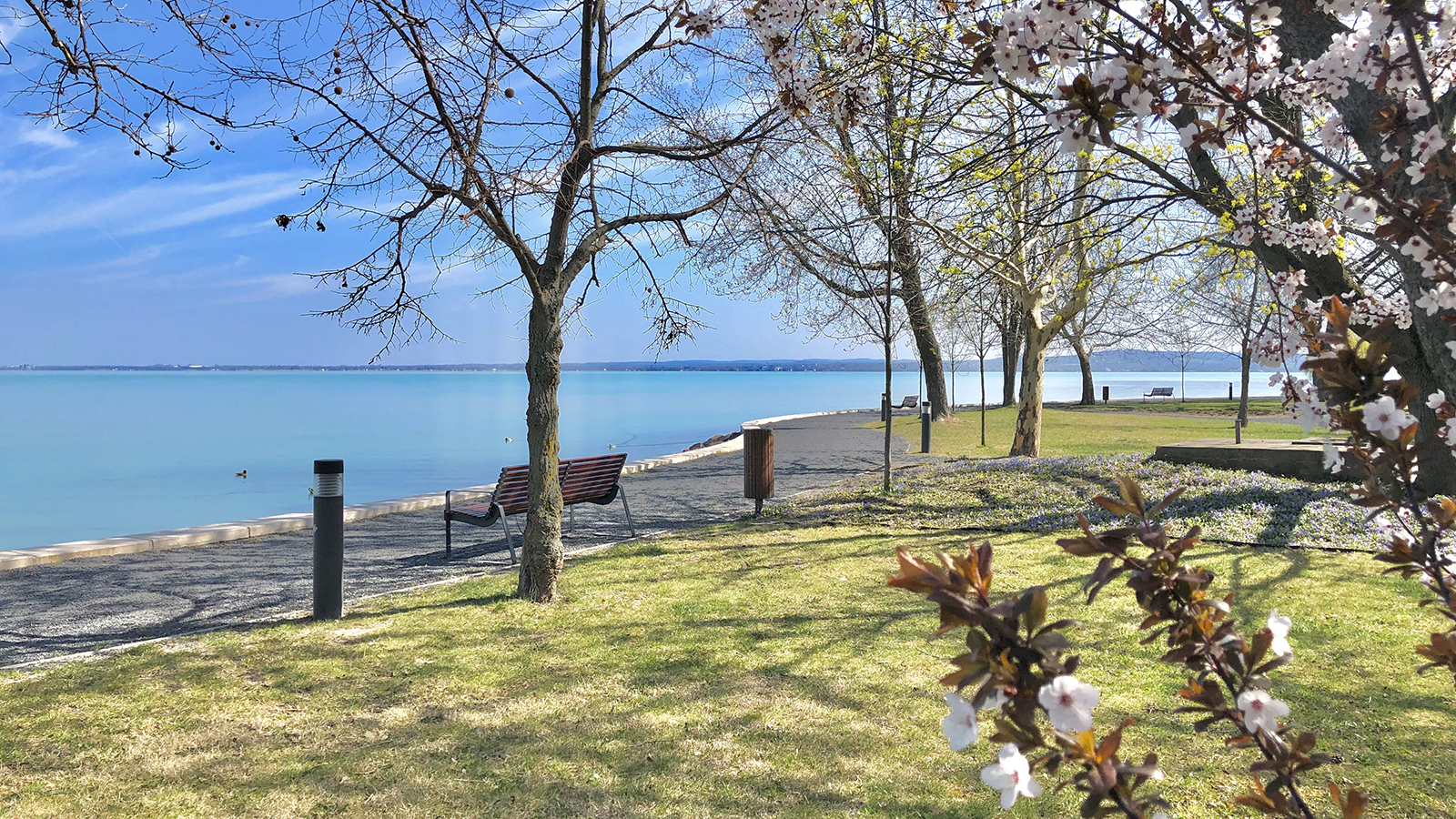 Tavaszi frissesség a Balaton partján – Miért érdemes Zamárdiban pihenni?